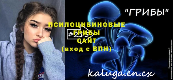 2c-b Елизово